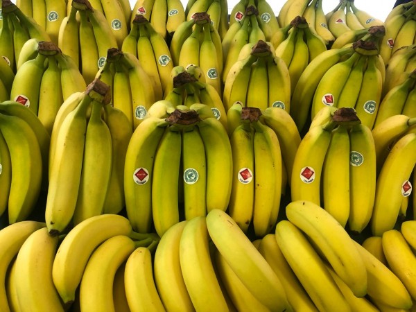 Frische Bananen